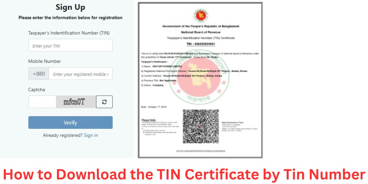 How to Download the TIN Certificate by Tin Number